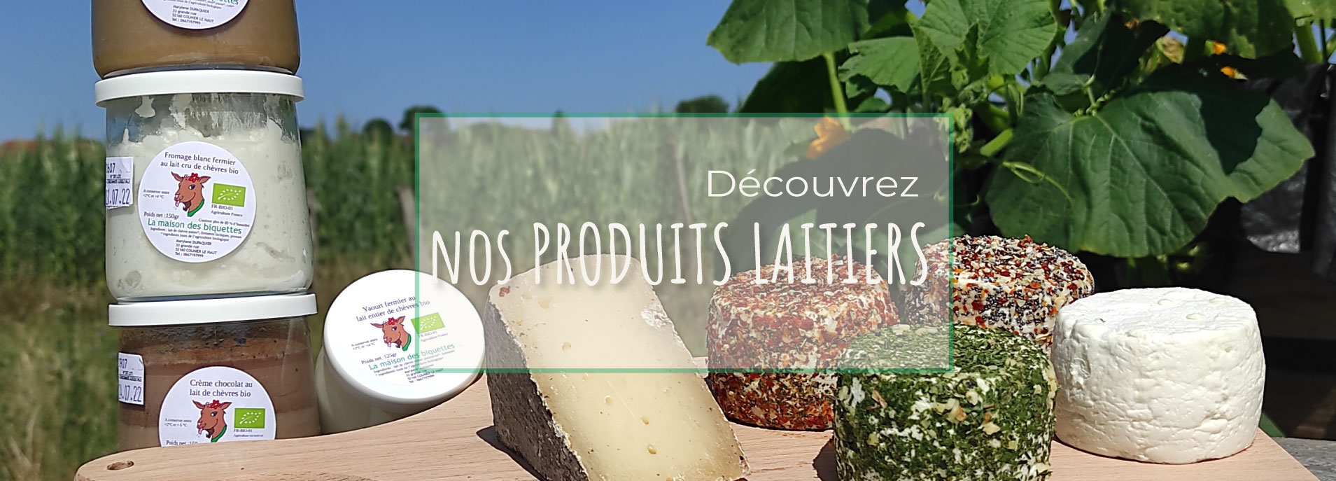 Produits laitiers